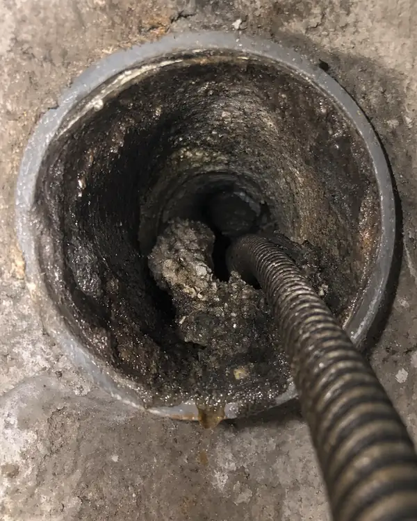 Câble de furet électrique dans une conduite d'évacuation encrassée