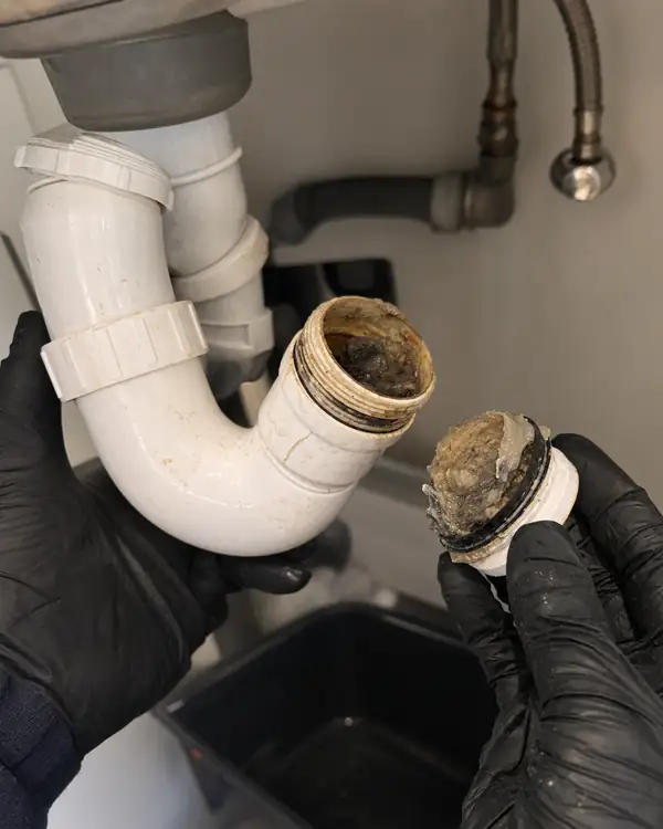 Siphon d'évier démonté avec un bouchon de graisse